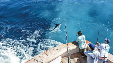 Is Fishing a Sport